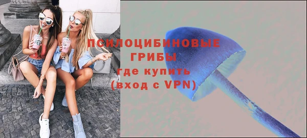 хмурый Алексин