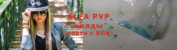 хмурый Алексин