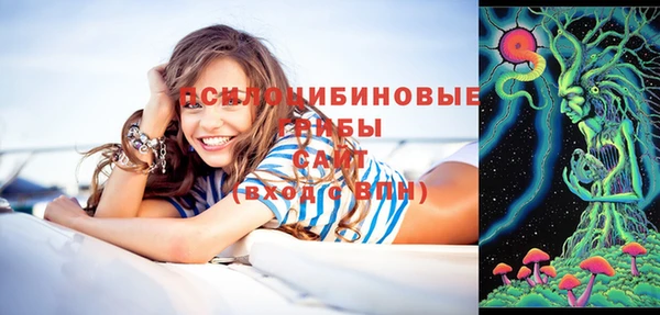 хмурый Алексин