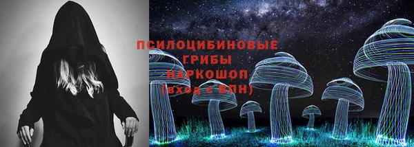 хмурый Алексин